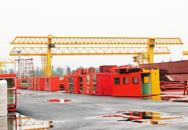 Grue à portique